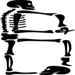 Skeleton B