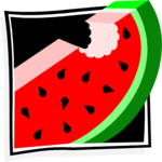 Watermelon 11