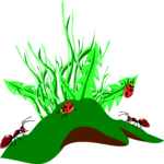 Ants & Ladybugs
