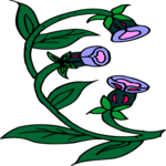 Flowers 191 Clip Art