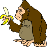 Gorilla 6 Clip Art