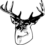 Deer Head