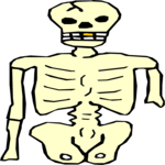 Torso 1 Clip Art