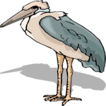 Marabou Stork 1 Clip Art