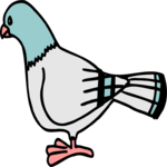 Pigeon Clip Art