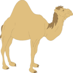 Camel 05 Clip Art