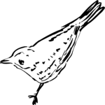 Bird 20 Clip Art