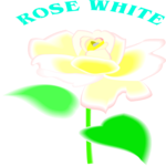 Rose - White Clip Art