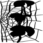 Spider Web on Stem