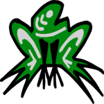 Frog 16