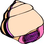 Sea Shell 29 Clip Art