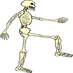 Skeleton 22 Clip Art