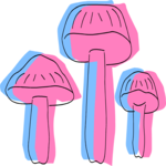 Mushrooms 16