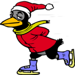 Ice Skating - Bird