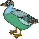 Duck 38 Clip Art