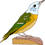 Bird 210 Clip Art