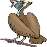 Pelican 19 Clip Art