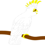 Cockatoo 02 Clip Art