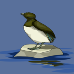 Bird 070 Clip Art