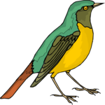 Bird 181 Clip Art