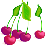 Cherries 30