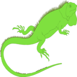 Iguana 2 Clip Art