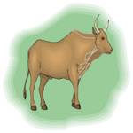 Bull 12 Clip Art