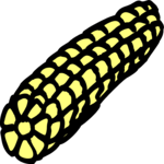 Corn 20