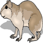 Cavy 2 Clip Art