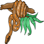 Green Tree Boa 2 Clip Art