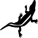 Lizard 3 Clip Art