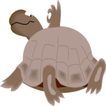 Turtle - OK Clip Art