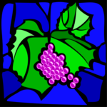 Grapes 42
