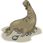 Elephant Seal 3 Clip Art