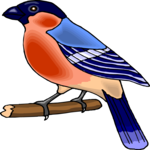 Bird Perched 41 Clip Art