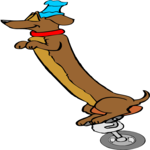 Dog on Unicycle 2