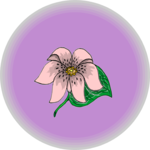 Flower 252 Clip Art