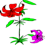 Flowers 354 Clip Art