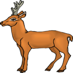 Antelope 30 Clip Art