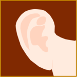 Ear 2
