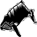 Whale - Humpback 1