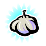 Garlic 06