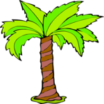 Palm Tree 59