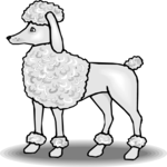 Poodle 2 Clip Art