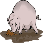 Pig Digging in Mud Clip Art