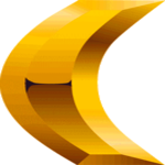 Gold  Condensed Punc 08