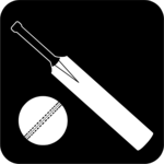 Cricket - Equipment 04