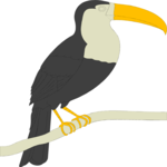 Toucan 02 Clip Art