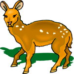 Deer 31 Clip Art