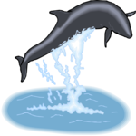 Whale - Pilot 5 Clip Art